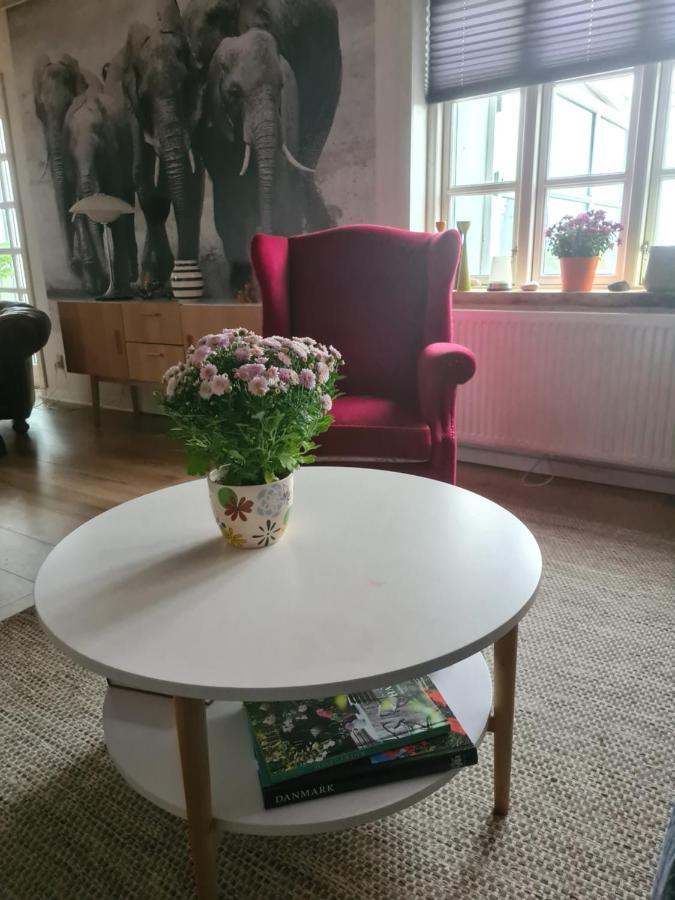 Marsvinslund Bed And Breakfast Viborg Zewnętrze zdjęcie